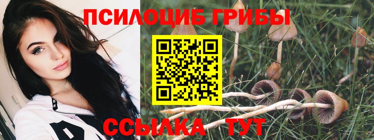 Жигулёвск  Псилоцибиновые грибы Psilocybine cubensis  Вход с VPN 