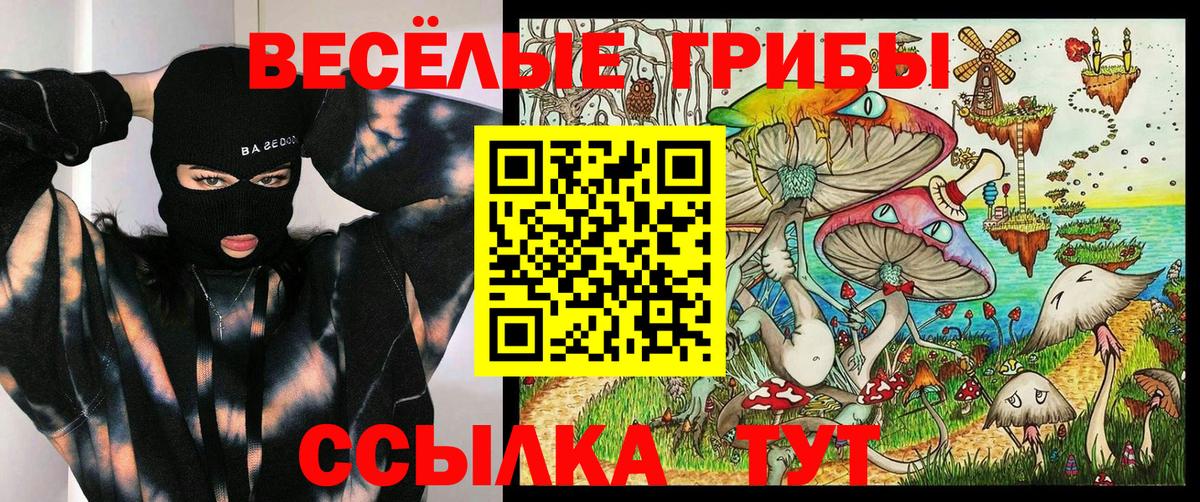 Галлюциногенные грибы Psilocybe Жигулёвск